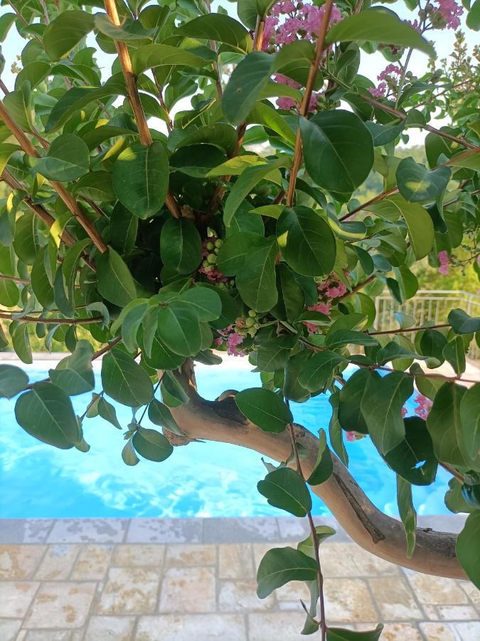 B&B Villa Ginevra Pietralunga  Bagian luar foto