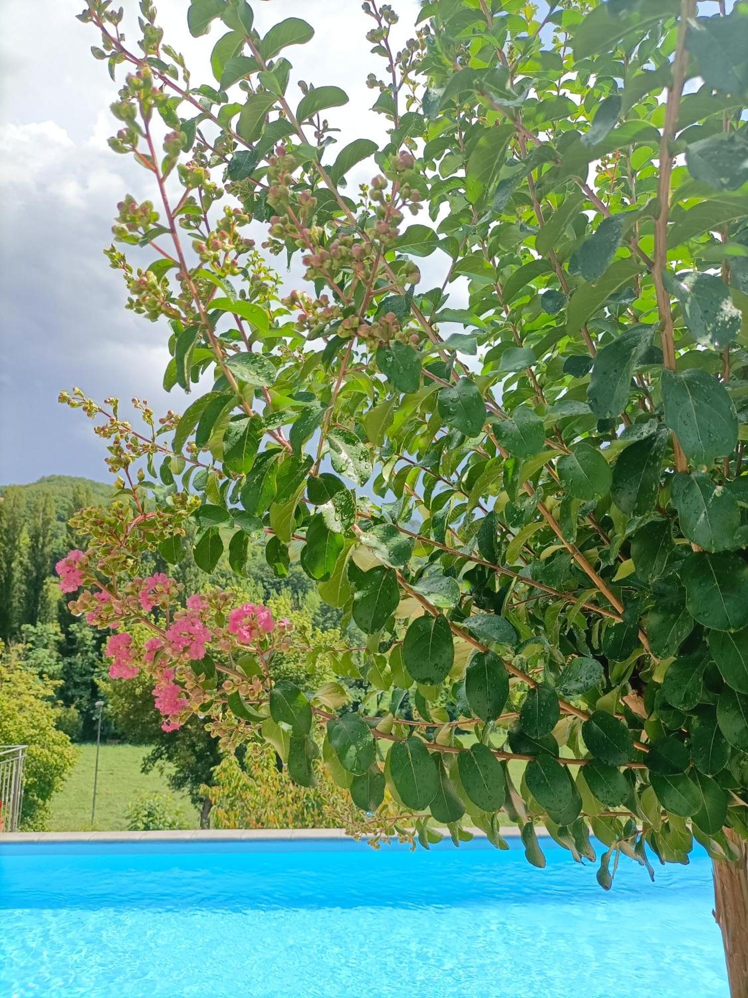 B&B Villa Ginevra Pietralunga  Bagian luar foto